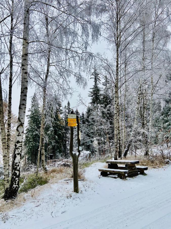 Utulny Apartman V Srdci Krkonos Se Saunou Jablonec nad Jizerou Bagian luar foto